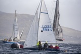 bluefin 2555c  marks  whyw25 750_5650